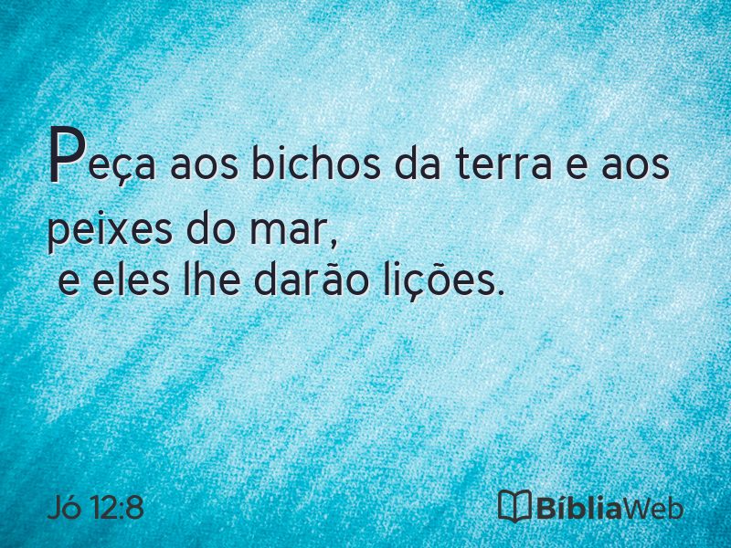 Jó 12:8 em imagem para compartilhar