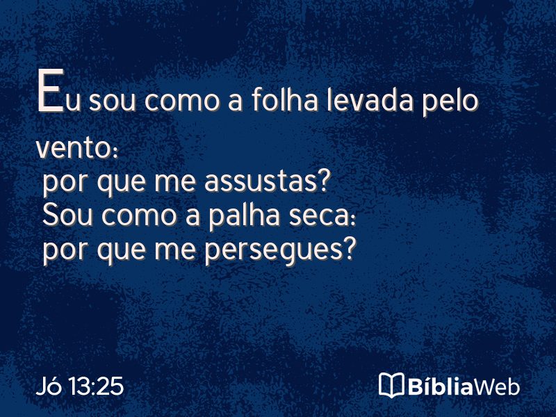 Jó 13:25 em imagem para compartilhar