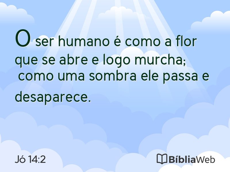 Jó 14:2 em imagem para compartilhar