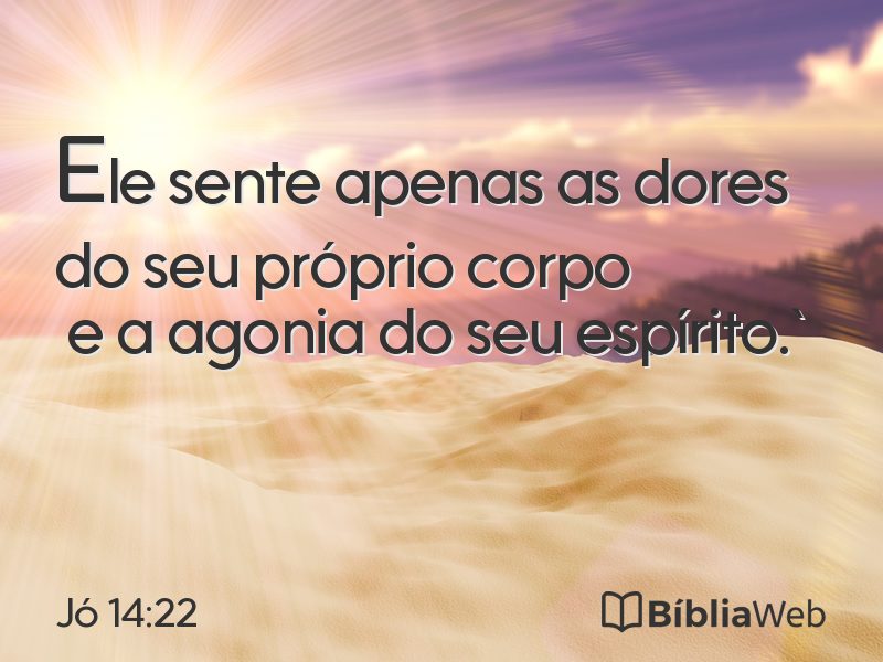 Jó 14:22 em imagem para compartilhar