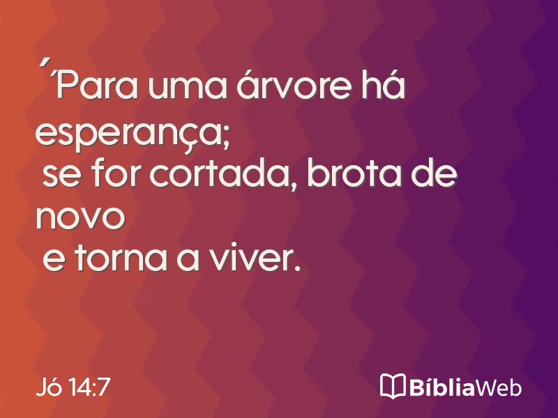 Jó 14:7 em imagem para compartilhar