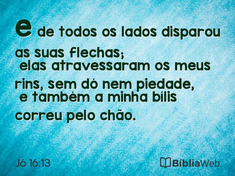 Jó 16:13 em imagem para compartilhar