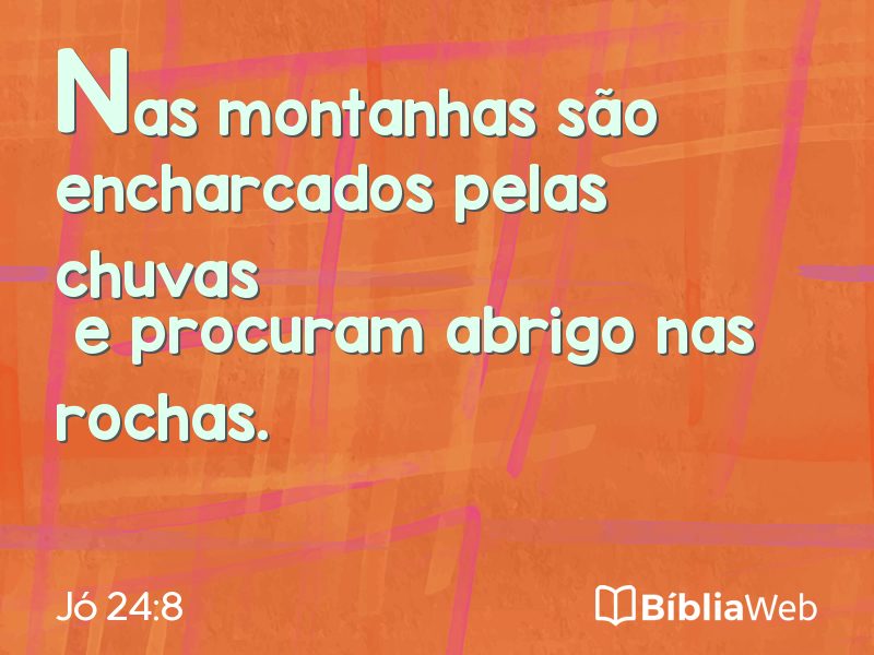 Jó 24:8 em imagem para compartilhar