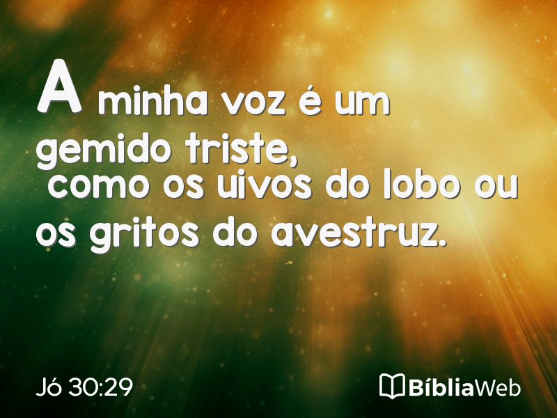 Jó 30:29 em imagem para compartilhar