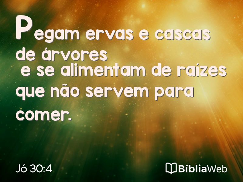 Jó 30:4 em imagem para compartilhar