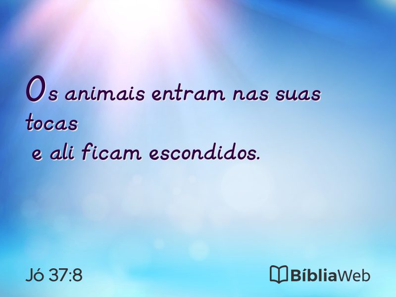 Jó 37:8 em imagem para compartilhar