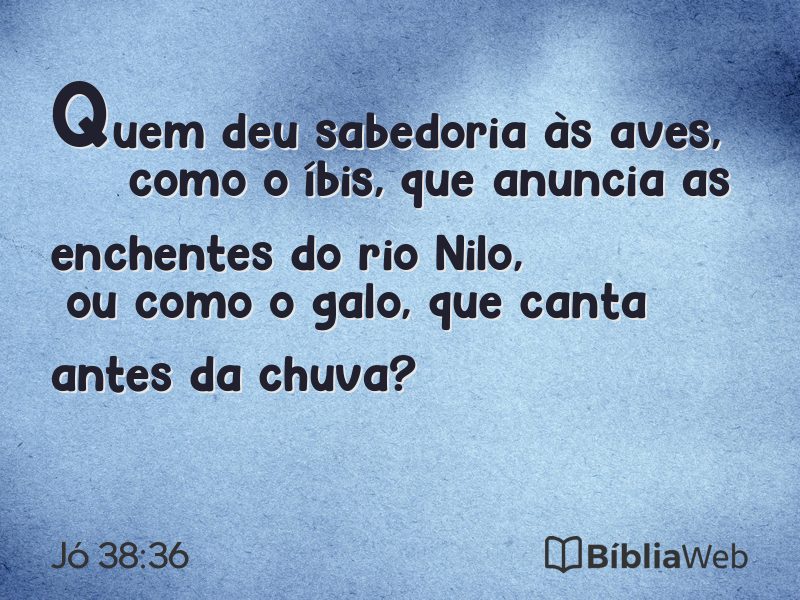 Jó 38:36 em imagem para compartilhar