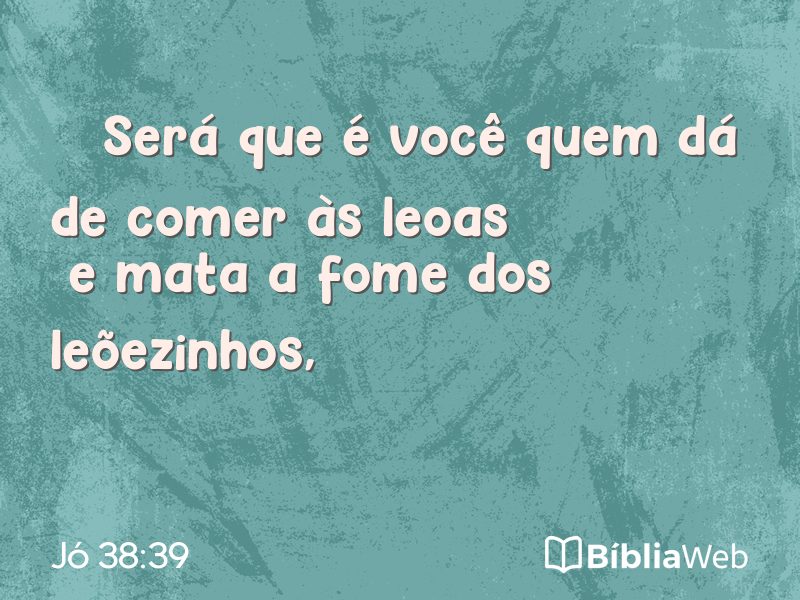 Jó 38:39 em imagem para compartilhar