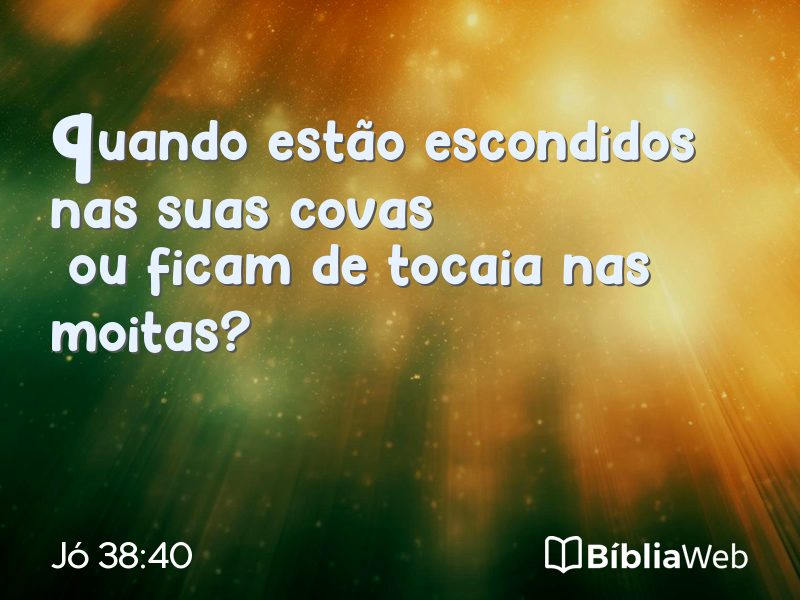 Jó 38:40 em imagem para compartilhar
