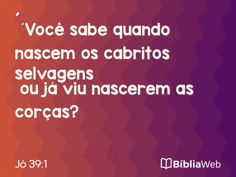 Jó 39:1 em imagem para compartilhar