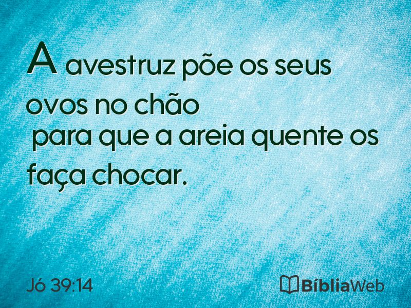 Jó 39:14 em imagem para compartilhar