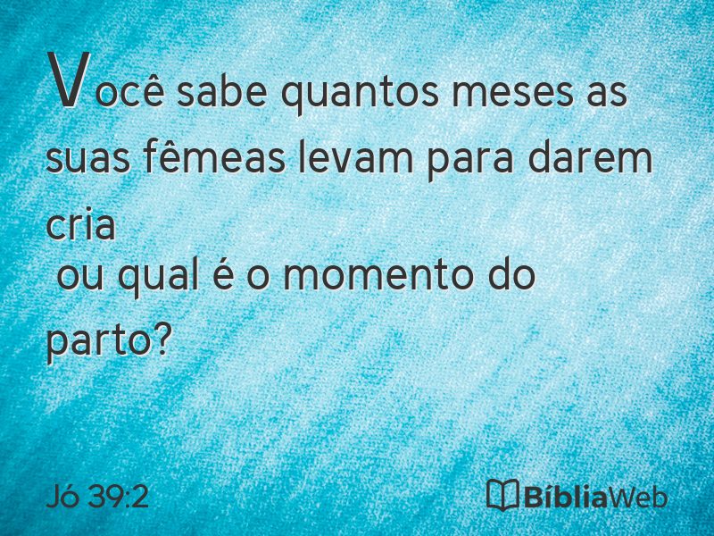 Jó 39:2 em imagem para compartilhar