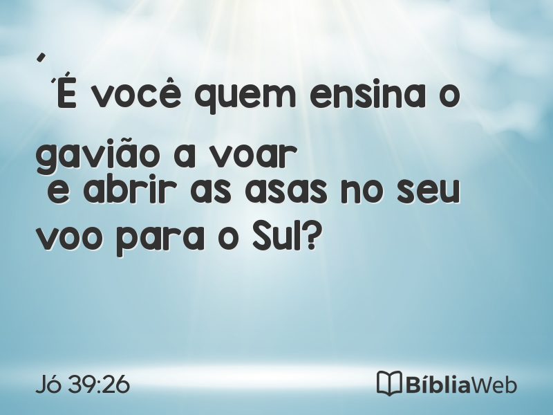 Jó 39:26 em imagem para compartilhar