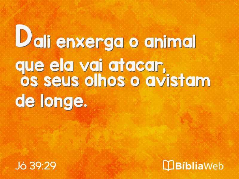 Jó 39:29 em imagem para compartilhar