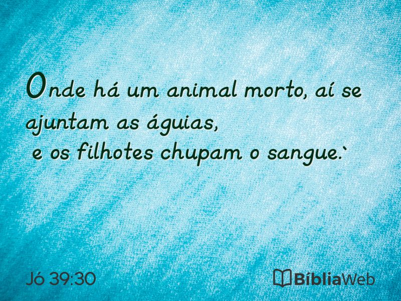 Jó 39:30 em imagem para compartilhar