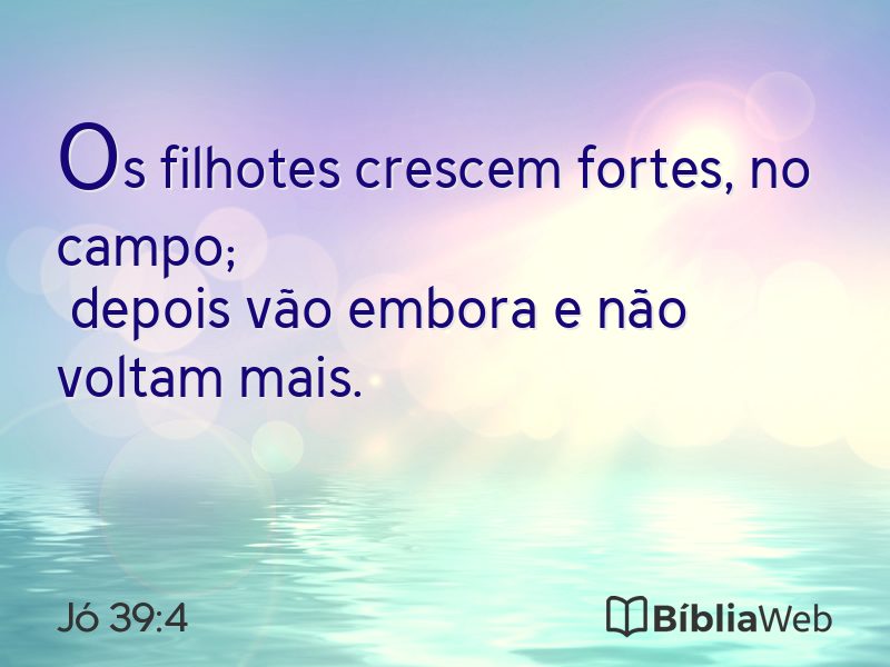 Jó 39:4 em imagem para compartilhar
