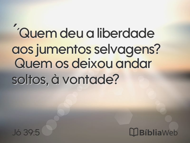 Jó 39:5 em imagem para compartilhar