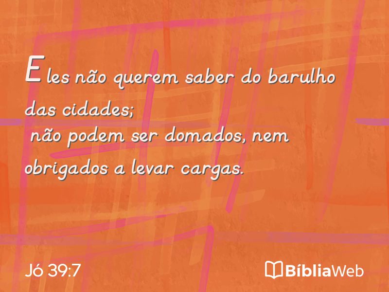 Jó 39:7 em imagem para compartilhar
