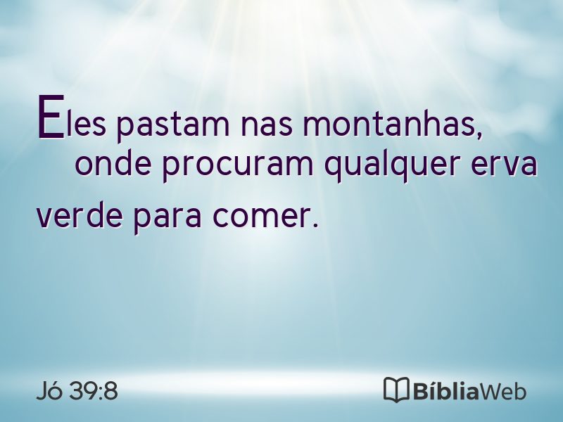 Jó 39:8 em imagem para compartilhar