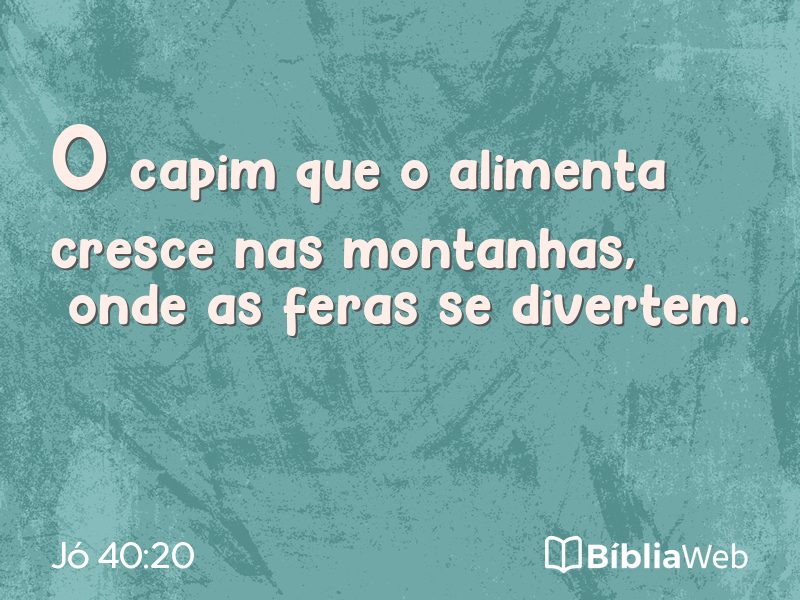 Jó 40:20 em imagem para compartilhar