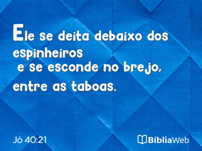 Jó 40:21 em imagem para compartilhar