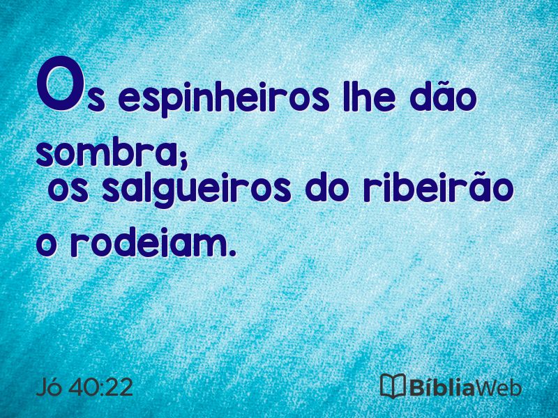 Jó 40:22 em imagem para compartilhar