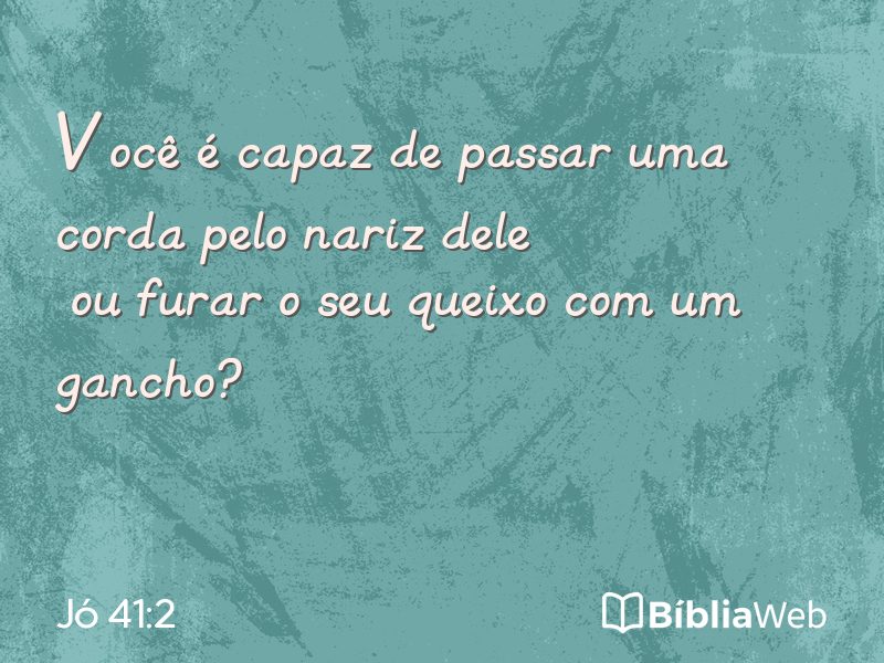 Jó 41:2 em imagem para compartilhar