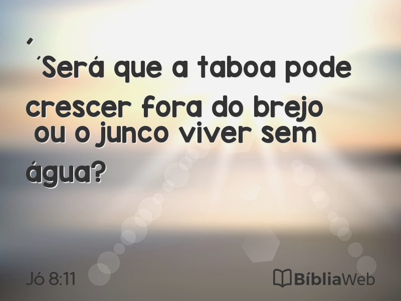 Jó 8:11 em imagem para compartilhar