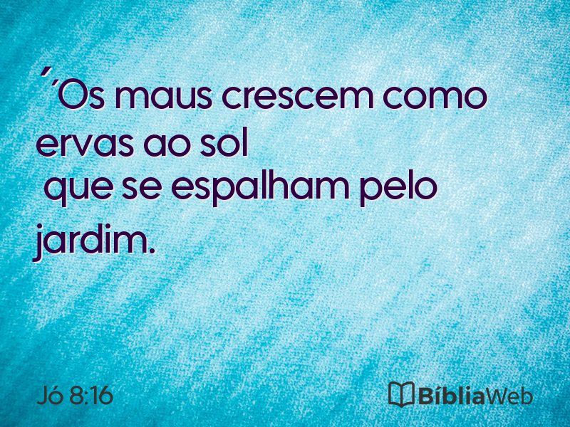Jó 8:16 em imagem para compartilhar
