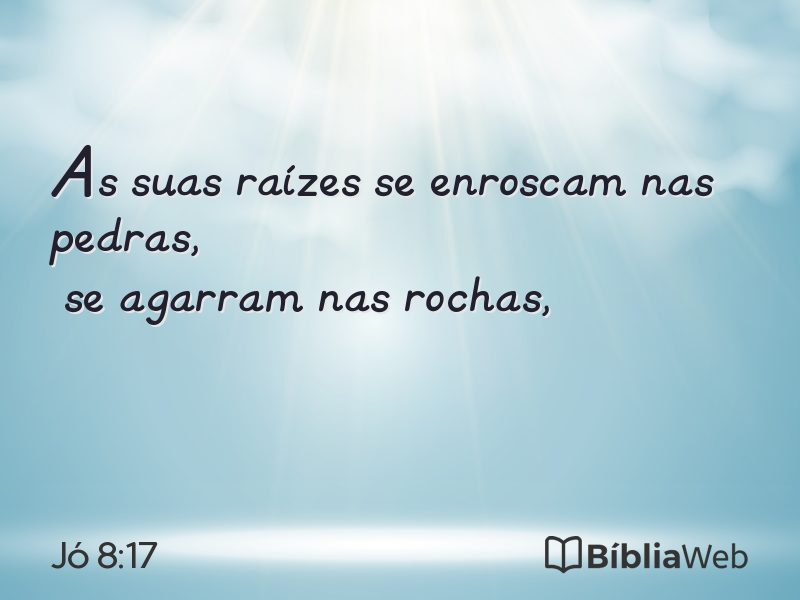 Jó 8:17 em imagem para compartilhar