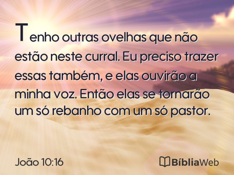 João 10:16 em imagem para compartilhar