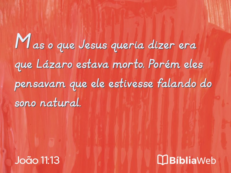João 11:13 em imagem para compartilhar