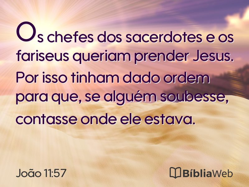 João 11:57 em imagem para compartilhar