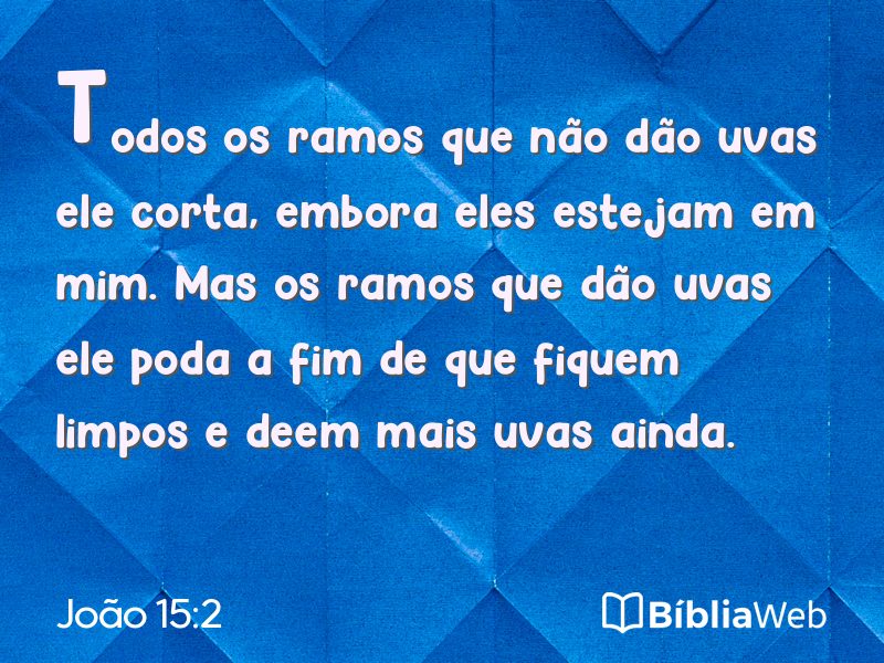 João 15:2 em imagem para compartilhar