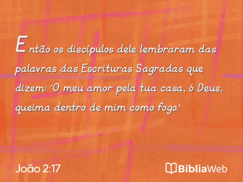 João 2:17 em imagem para compartilhar