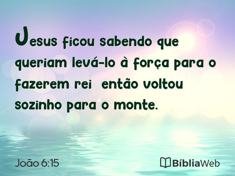 João 6:15 em imagem para compartilhar