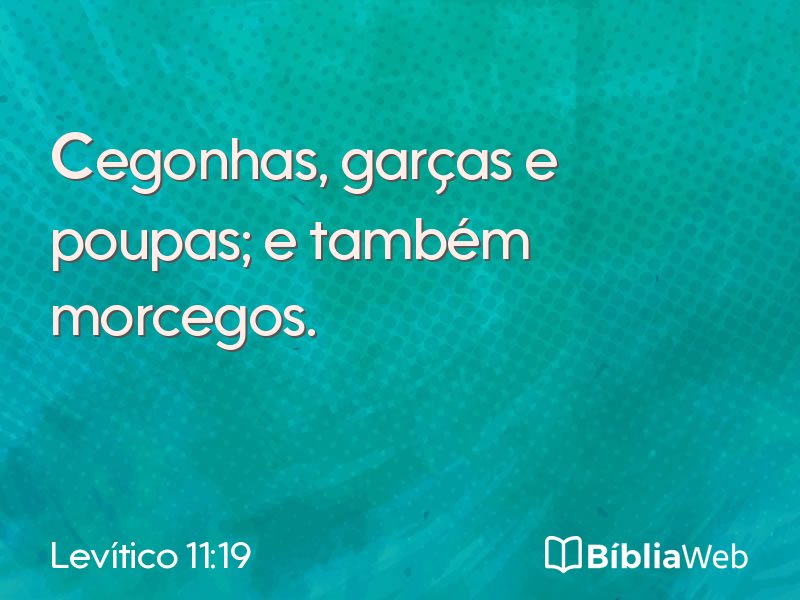 Levítico 11:19 em imagem para compartilhar