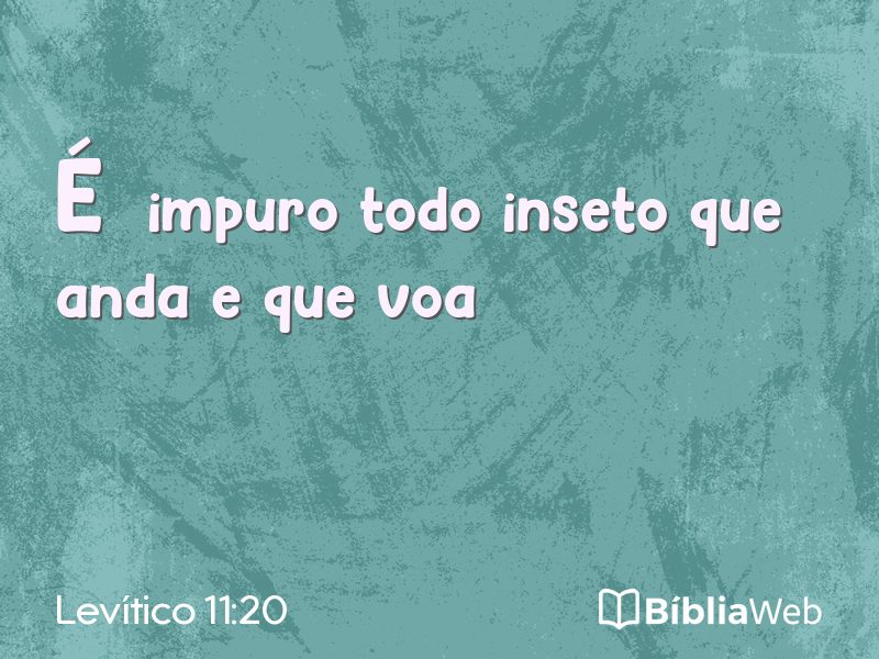 Levítico 11:20 em imagem para compartilhar