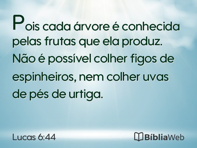 Lucas 6:44 em imagem para compartilhar