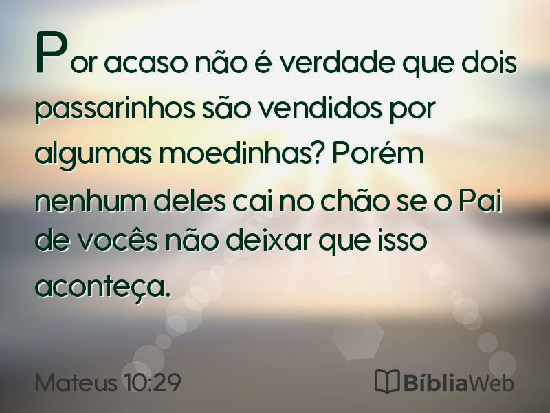 Mateus 10:29 em imagem para compartilhar