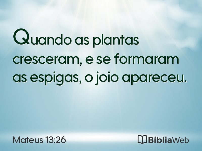 Mateus 13:26 em imagem para compartilhar