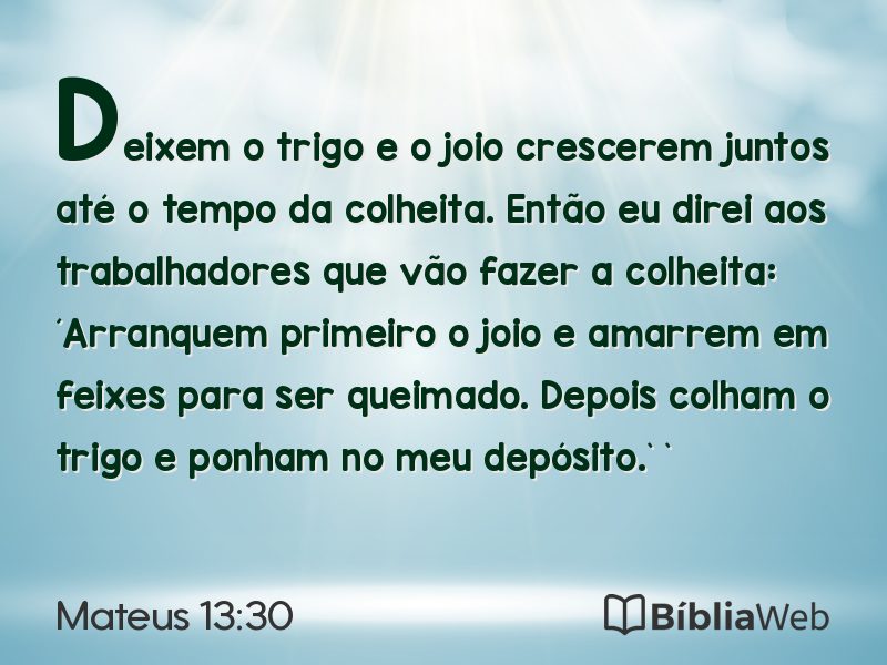 Mateus 13:30 em imagem para compartilhar