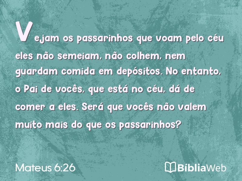 Mateus 6:26 em imagem para compartilhar