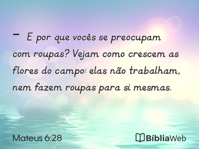 Mateus 6:28 em imagem para compartilhar