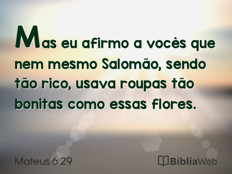 Mateus 6:29 em imagem para compartilhar