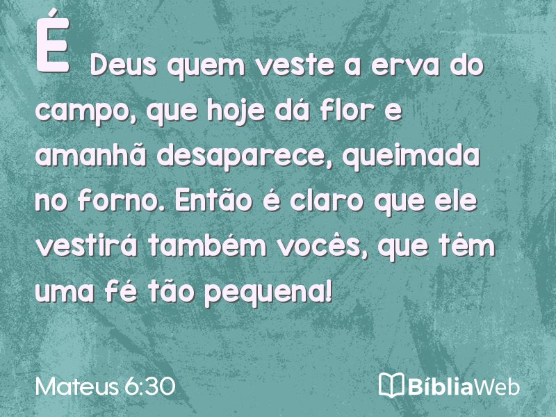 Mateus 6:30 em imagem para compartilhar