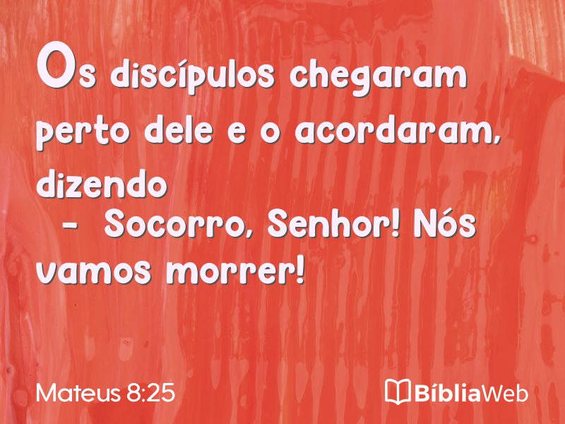 Mateus 8:25 em imagem para compartilhar