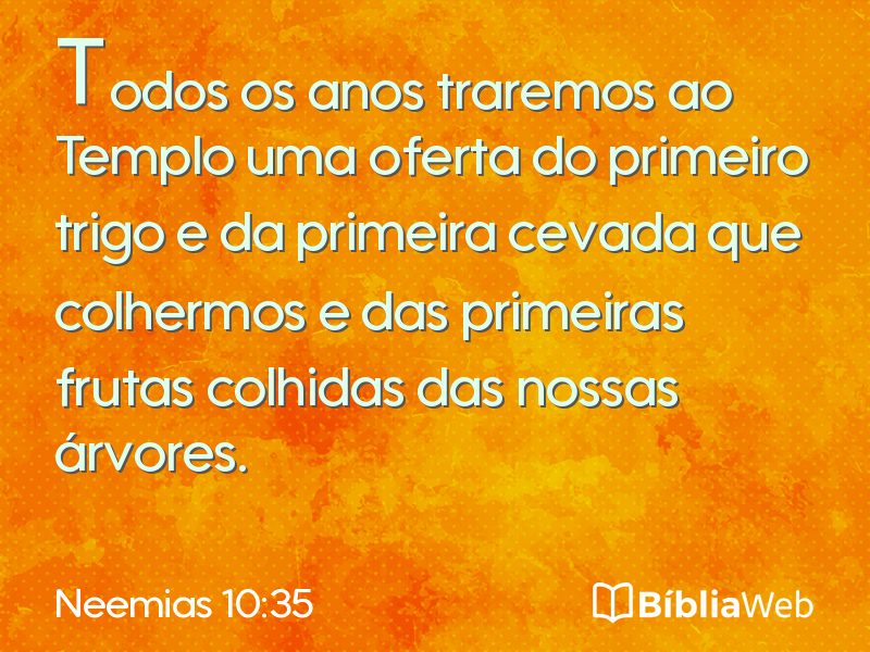 Neemias 10:35 em imagem para compartilhar