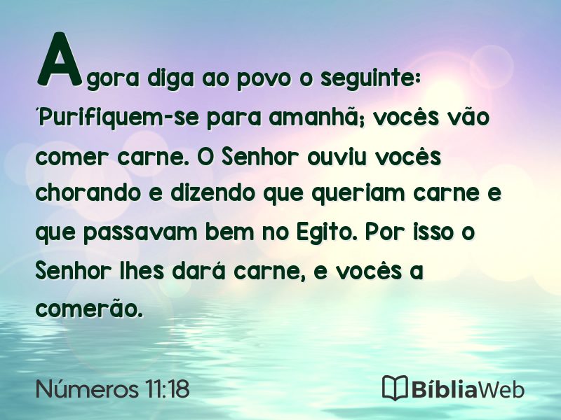 Números 11:18 em imagem para compartilhar