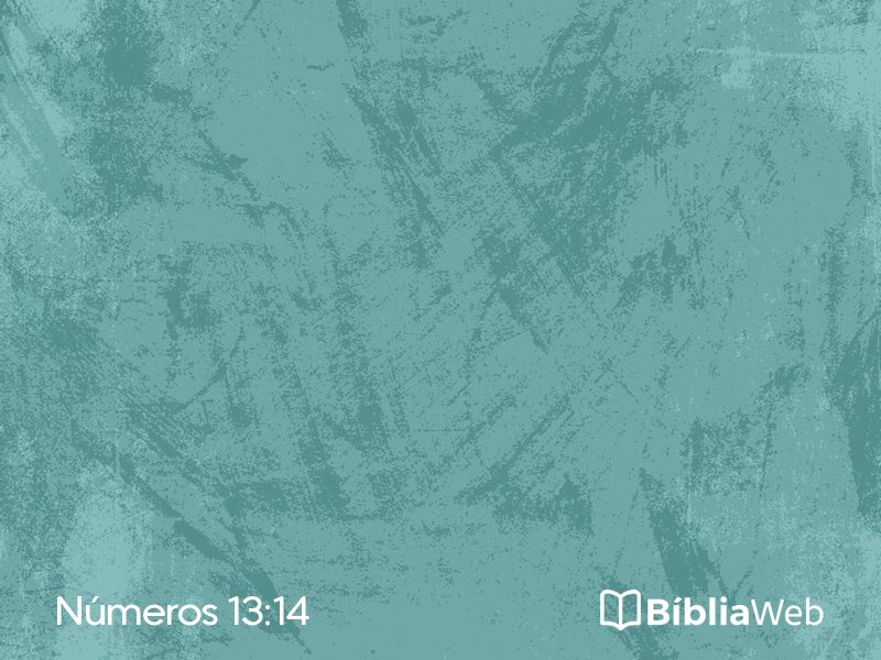 Números 13:14 em imagem para compartilhar